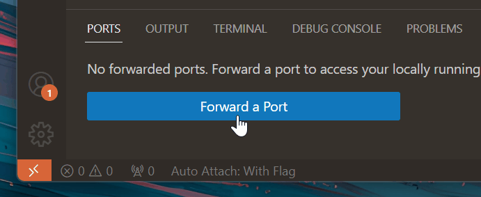 Port Forwarding einschalten